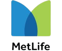 MTLFE-removebg-preview